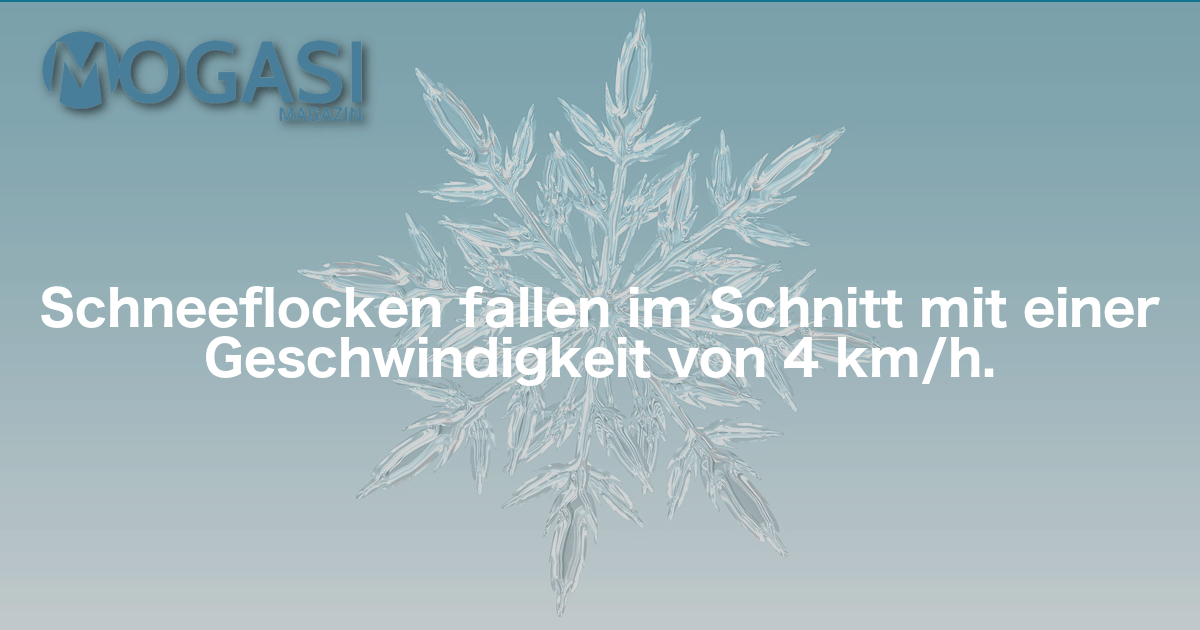 Ski, Fakten, Schneeflocken, Mogasi, Mogasifakten, Geschwindigkeit