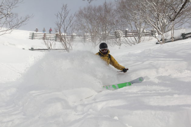 Skifahren in Japan, Japow, Tiefschnee, Blackcrows, Mogasi