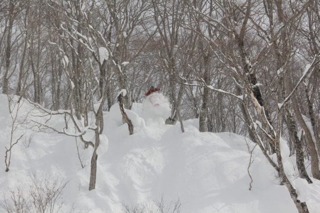 Skifahren in Japan, Skiurlaub in Japan, Pillow, Tiefschnee, Sprung, Mogasi